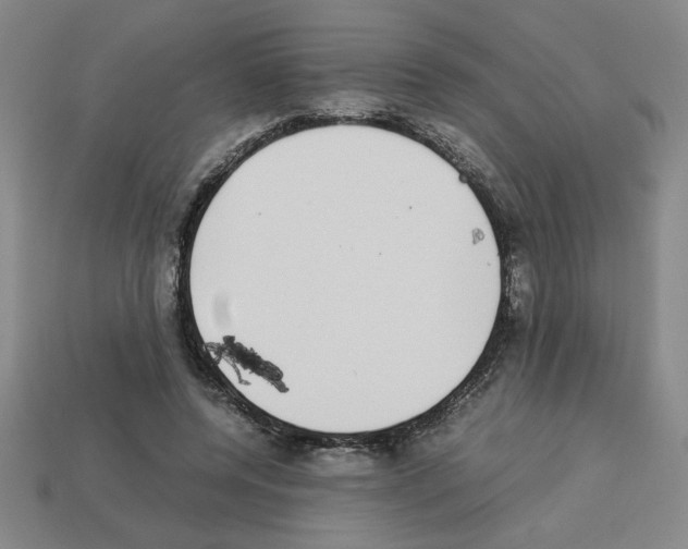 X0000112790544200910021102