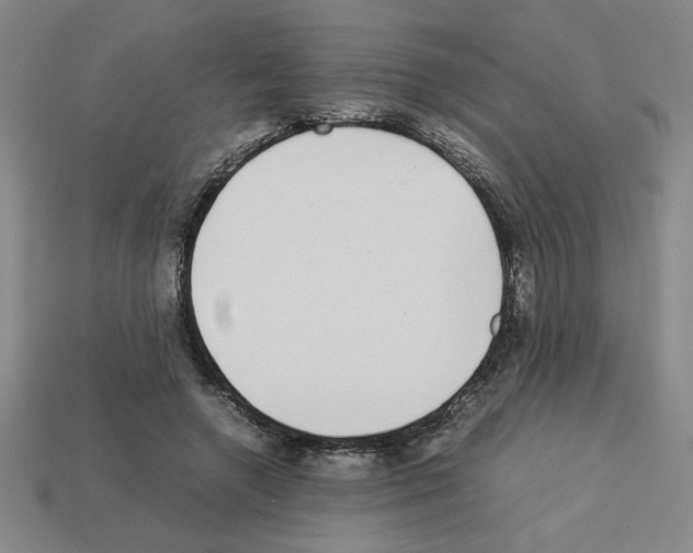 X0000112790546200910021102