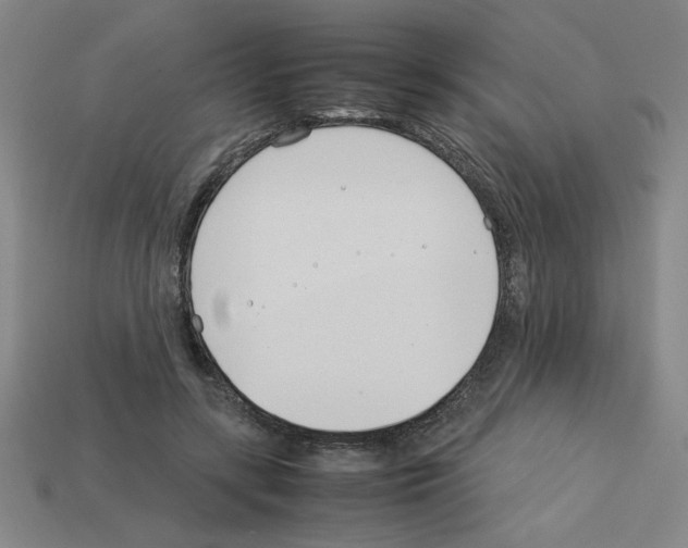 X0000112790547200910021102