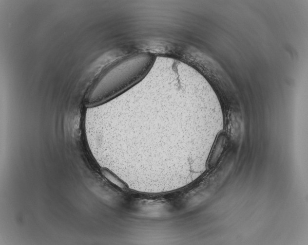 X0000112790548200910021102