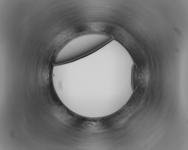 X0000112790552200910021102