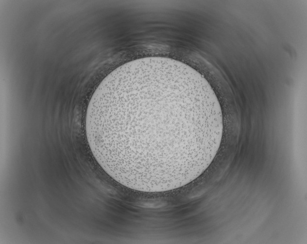 X0000112790553200910021102