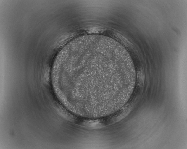 X0000112790554200910021102