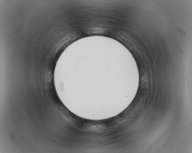 X0000112790555200910021102