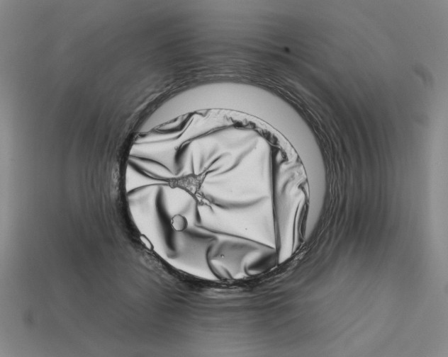 X0000112790556200910021102