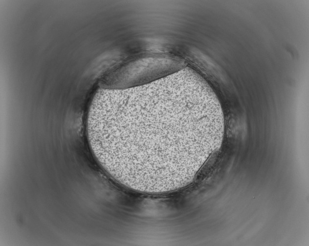 X0000112790560200910021102