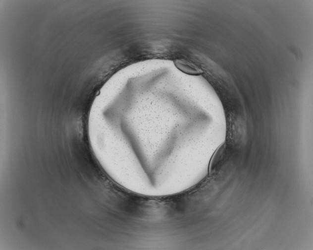 X0000112790562200910021102