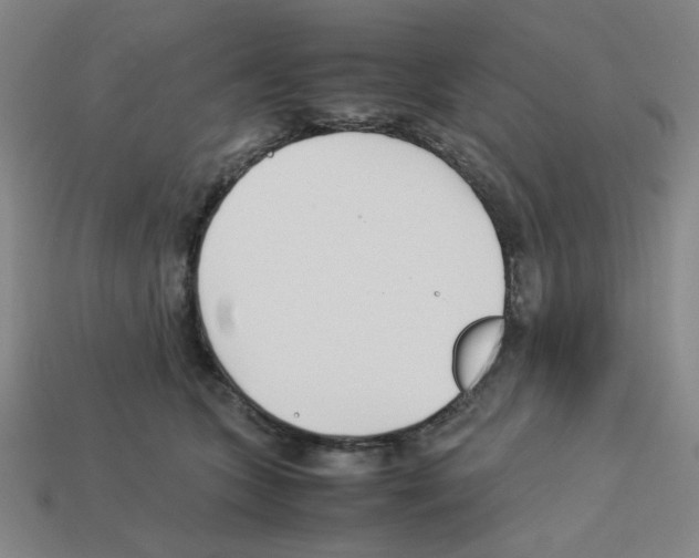 X0000112790563200910021102