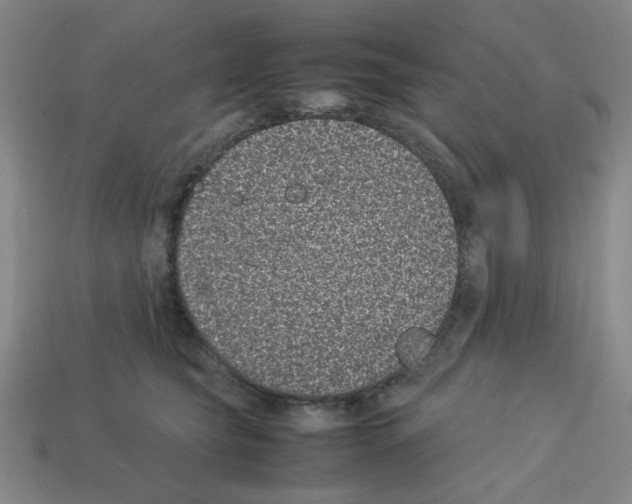 X0000112790565200910021102