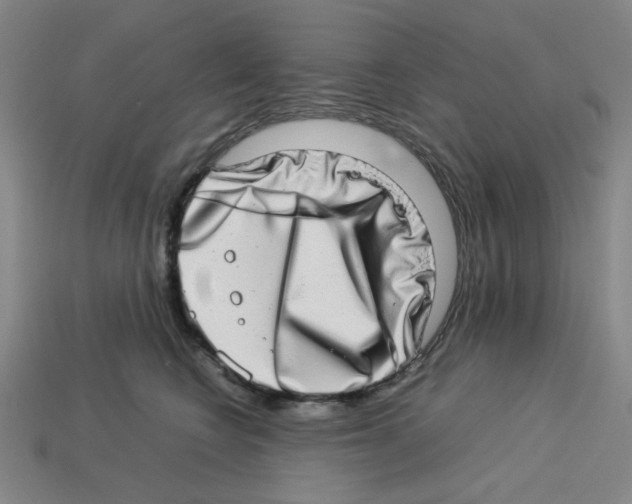 X0000112790566200910021102