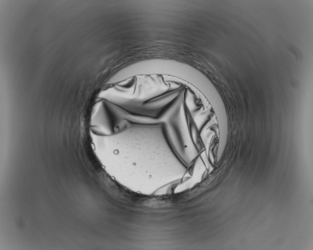 X0000112790568200910021102