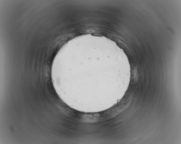 X0000112790571200910021102