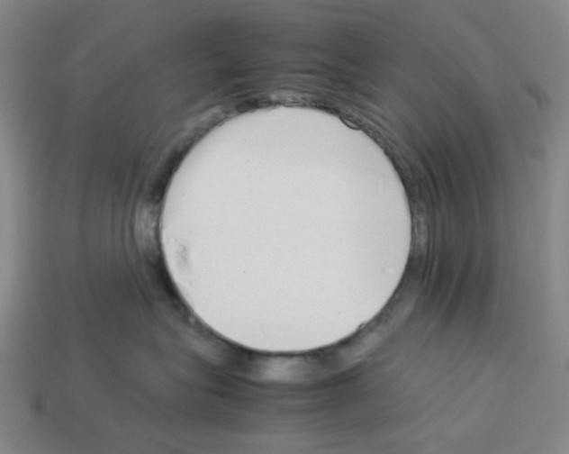 X0000112790575200910021102