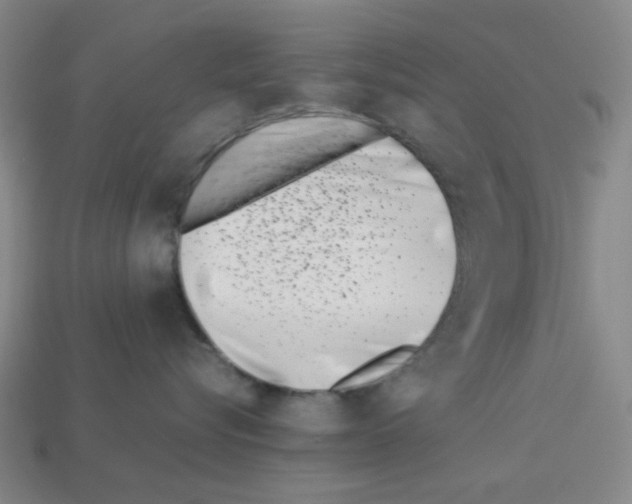 X0000112790576200910021102