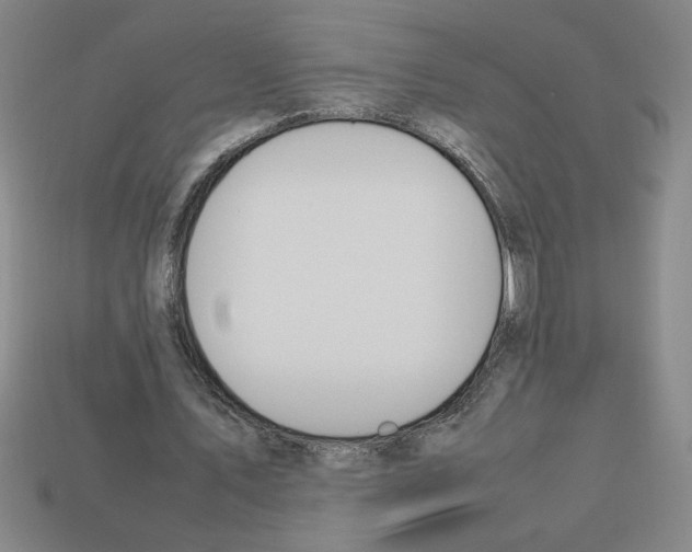 X0000112790579200910021101