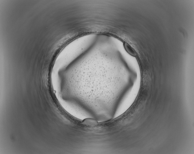 X0000112790581200910021101