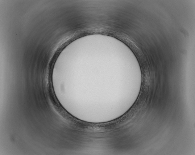 X0000112790582200910021101