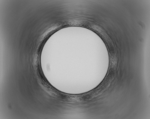 X0000112790583200910021101