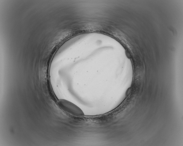 X0000112790585200910021101