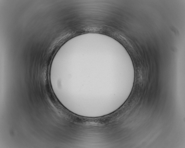 X0000112790586200910021101