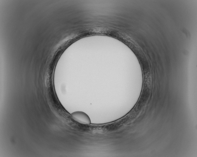 X0000112790587200910021101