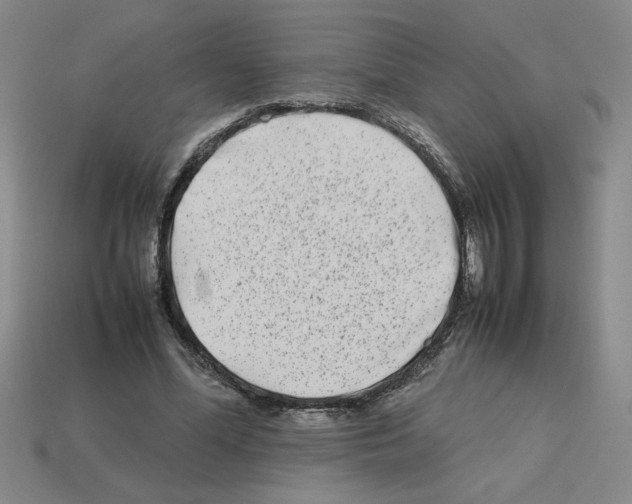 X0000112790588200910021101