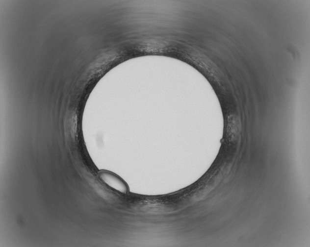 X0000112790589200910021101