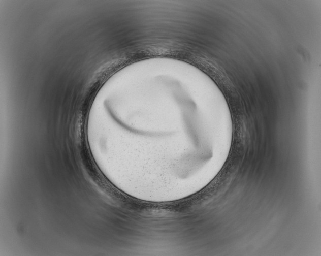 X0000112790590200910021101