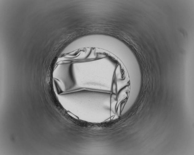 X0000112790593200910021101