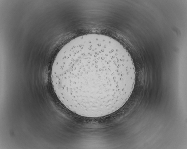 X0000112790594200910021101