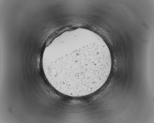 X0000112790596200910021101