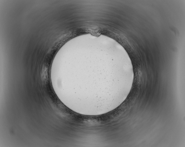 X0000112790598200910021101