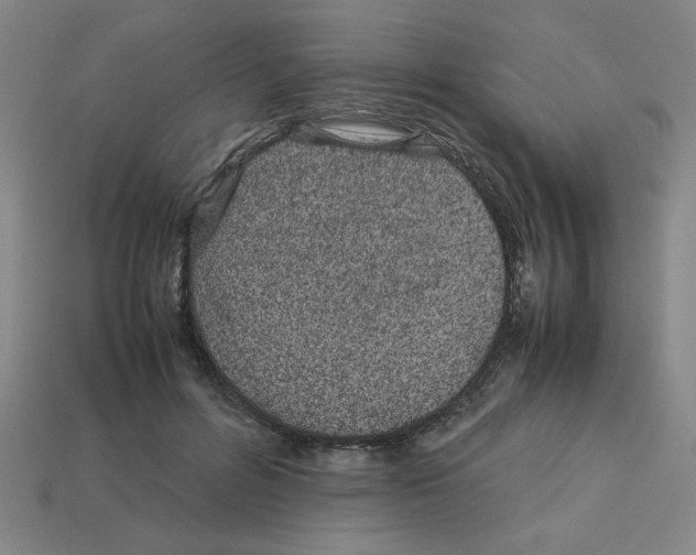 X0000112790600200910021101