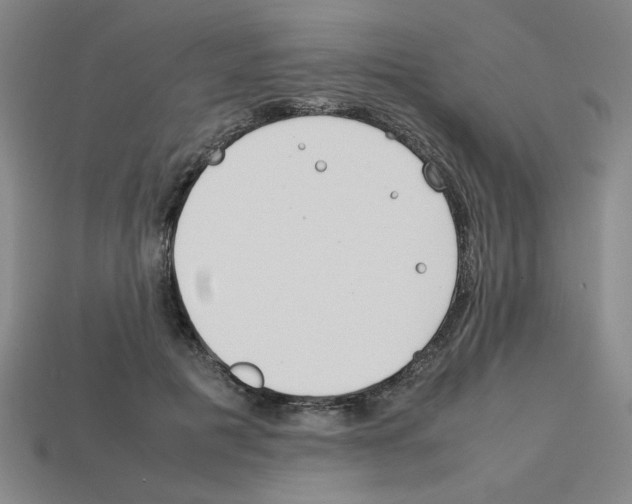 X0000112790601200910021101