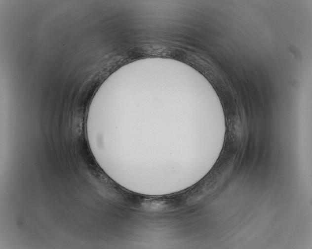 X0000112790602200910021101