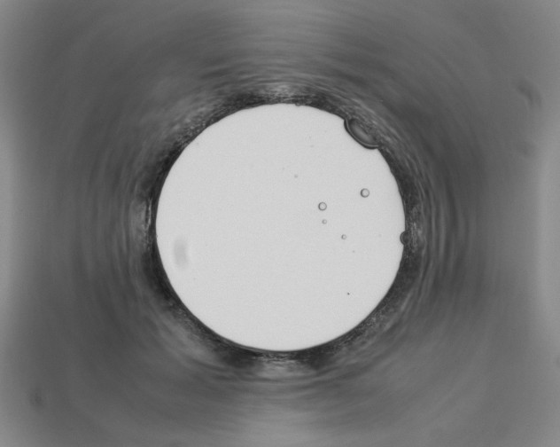 X0000112790605200910021101