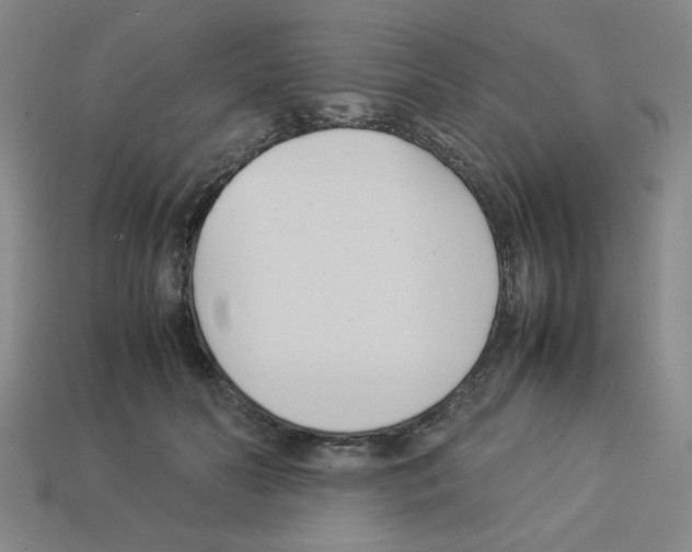 X0000112790606200910021101