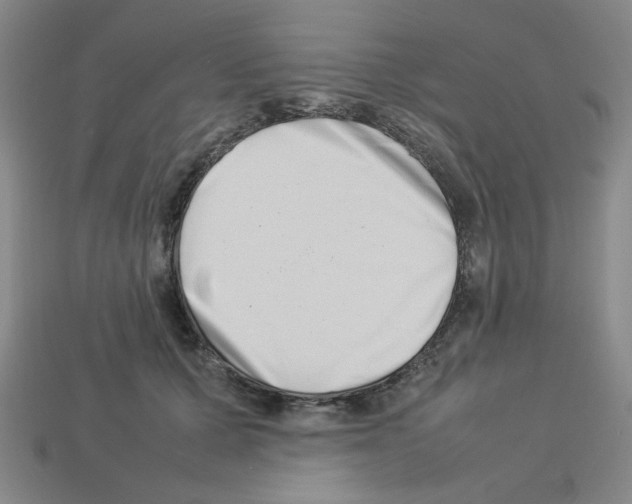 X0000112790607200910021101