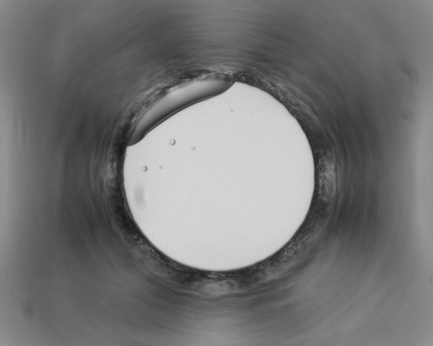 X0000112790608200910021101