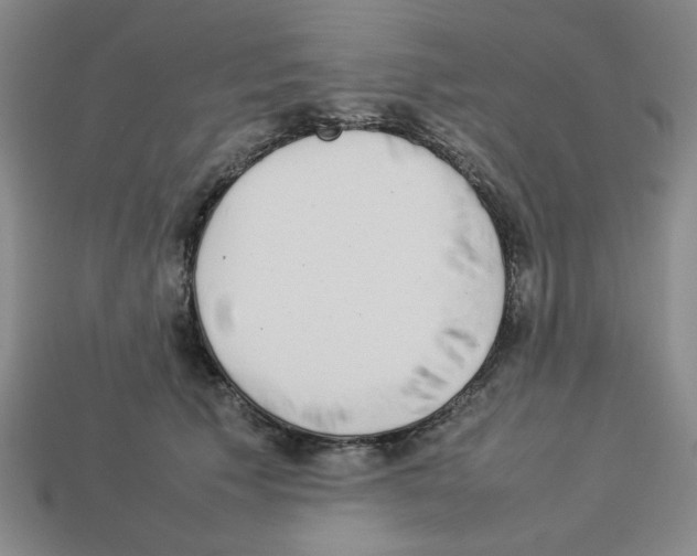 X0000112790609200910021101