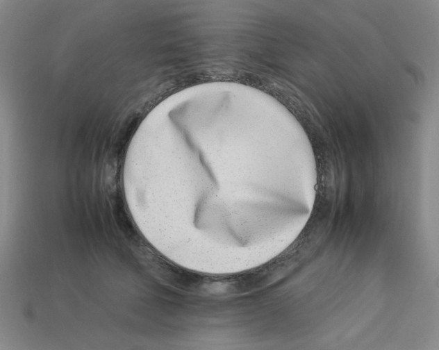 X0000112790610200910021101