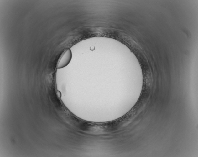 X0000112790611200910021101