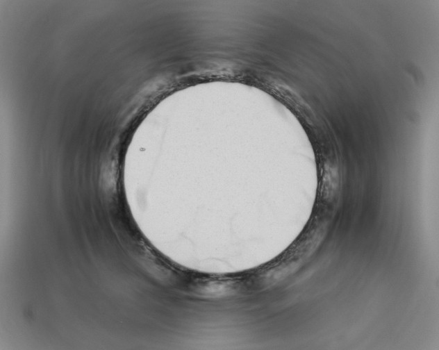 X0000112790612200910021101