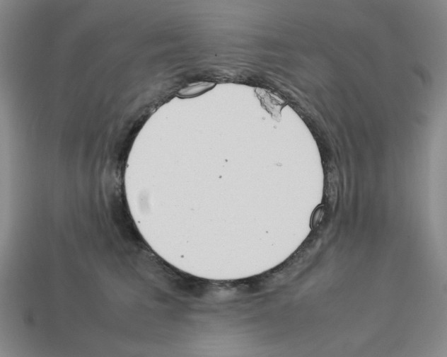 X0000112790613200910021101