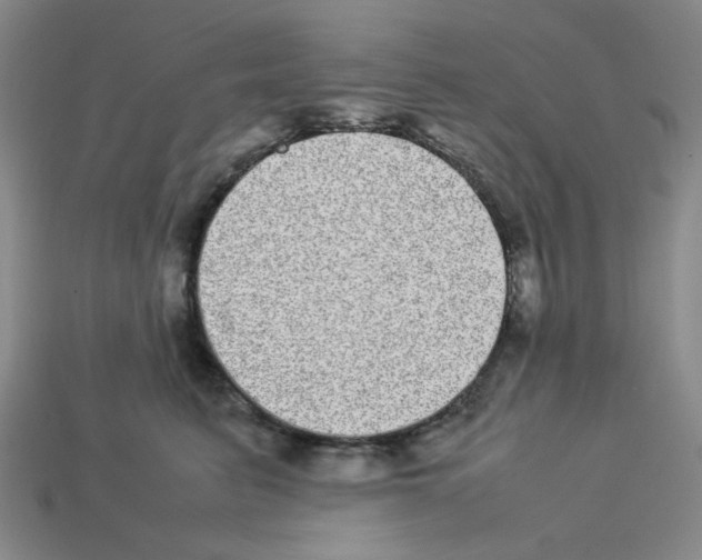 X0000112790615200910021101