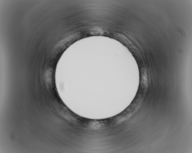 X0000112790616200910021101