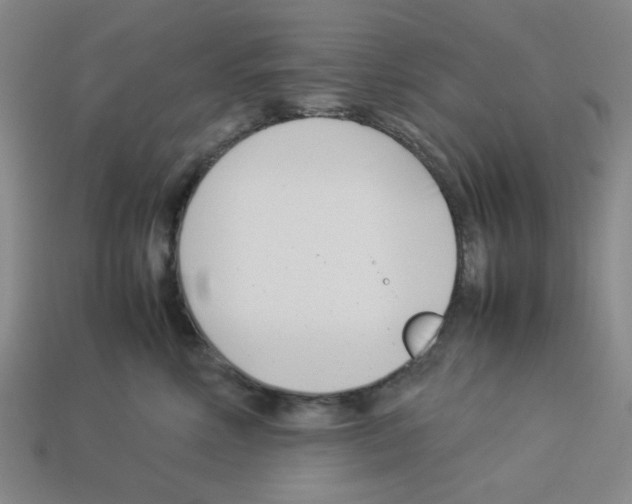 X0000112790618200910021101