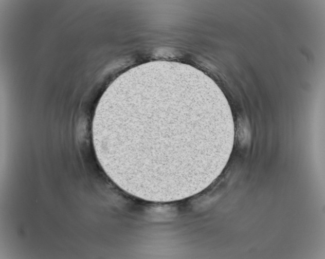 X0000112790619200910021101