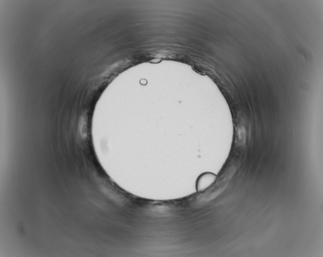 X0000112790620200910021101