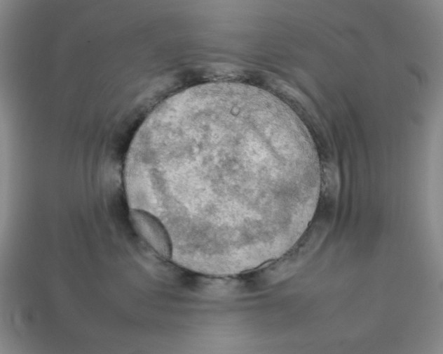 X0000112790621200910021101